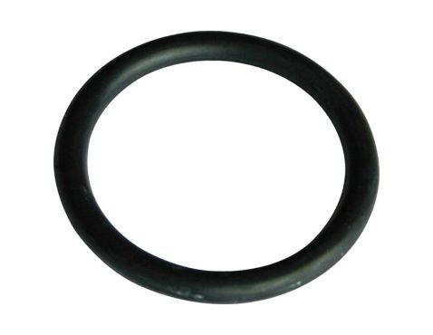 O-ring f/filter body 1"